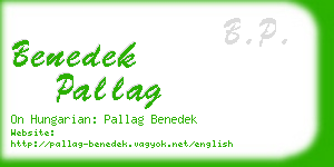 benedek pallag business card